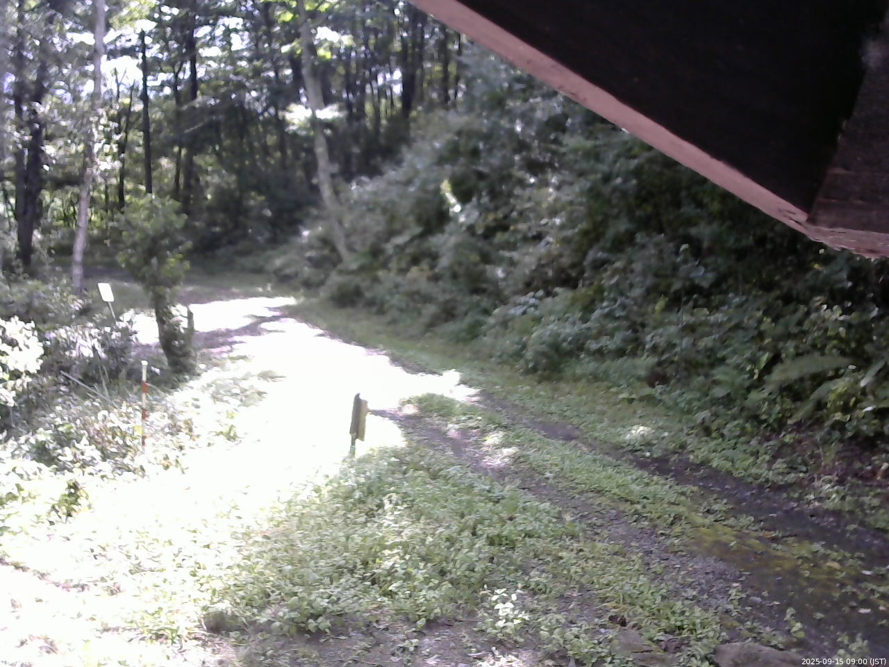 長野県菅平高原 ゆたか山荘 東側(坂下) 2025/09/15 09:00