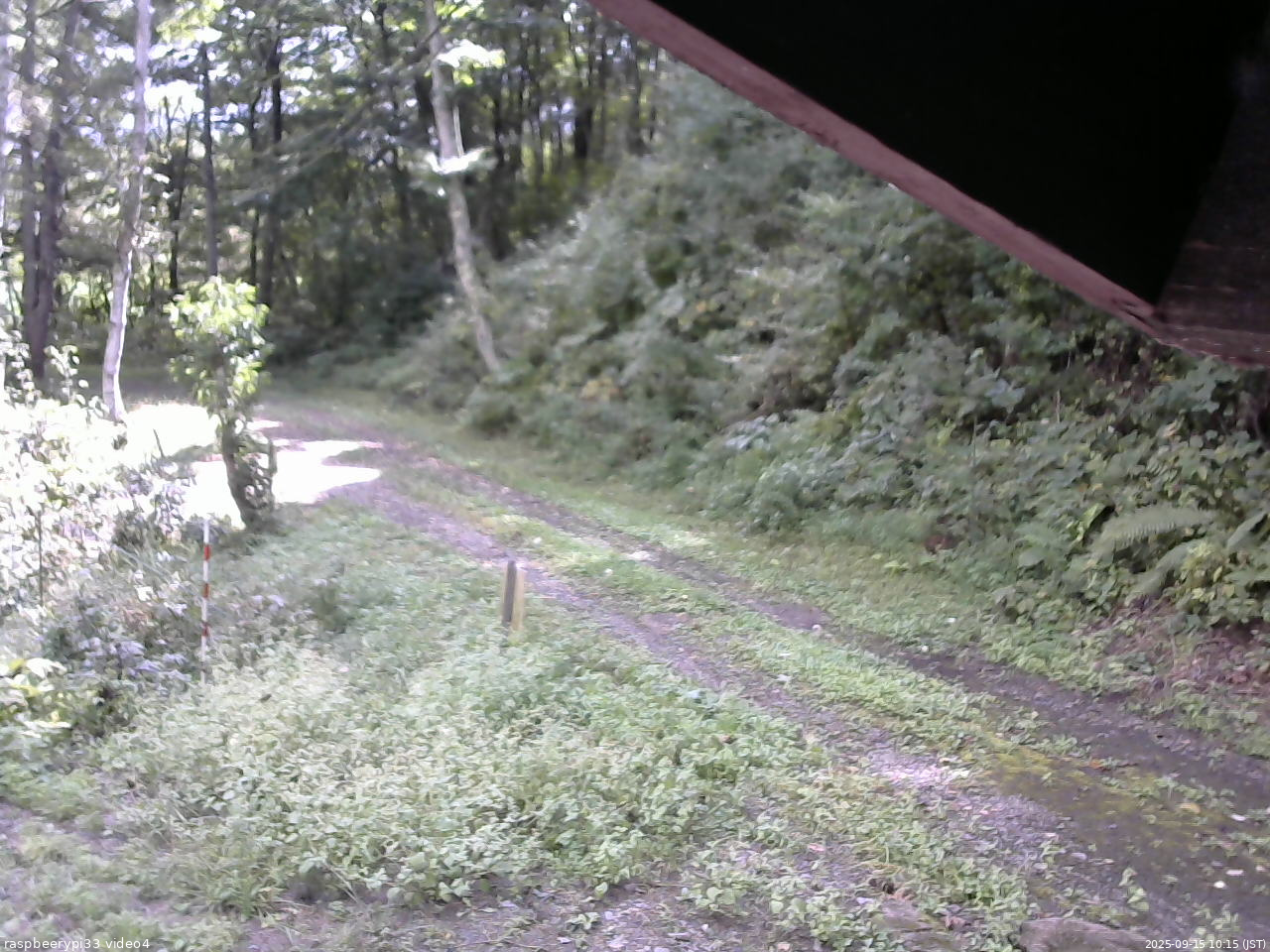長野県菅平高原 ゆたか山荘 東側(坂下) 2025/09/15 10:15
