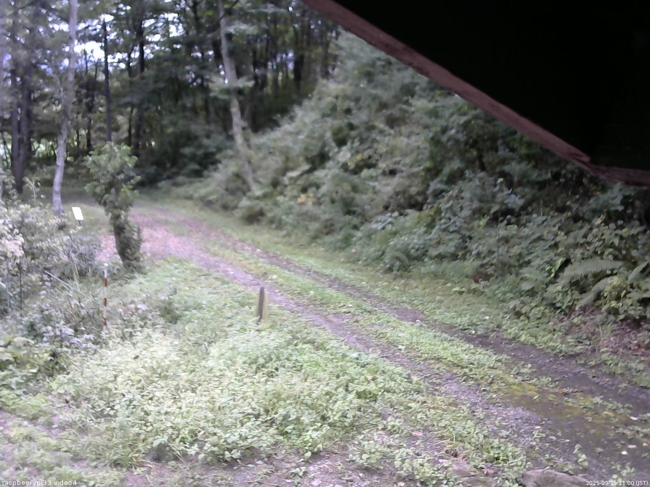 長野県菅平高原 ゆたか山荘 東側(坂下) 2025/09/15 11:00