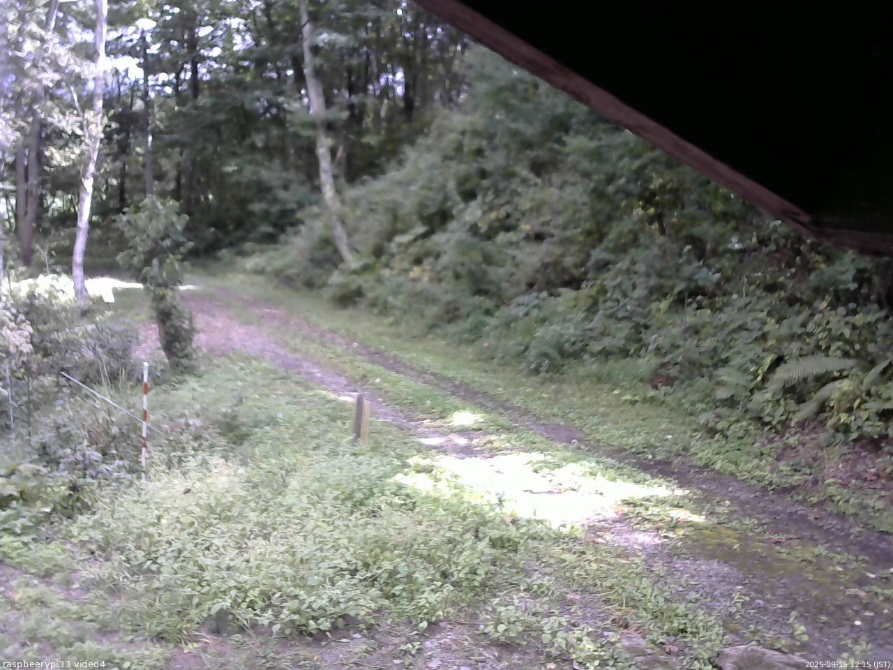 長野県菅平高原 ゆたか山荘 東側(坂下) 2025/09/15 12:15