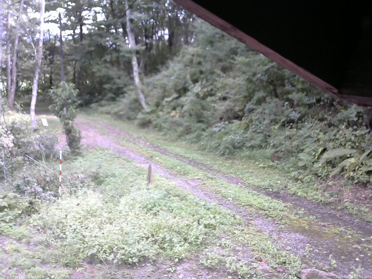 長野県菅平高原 ゆたか山荘 東側(坂下) 2025/09/15 12:45