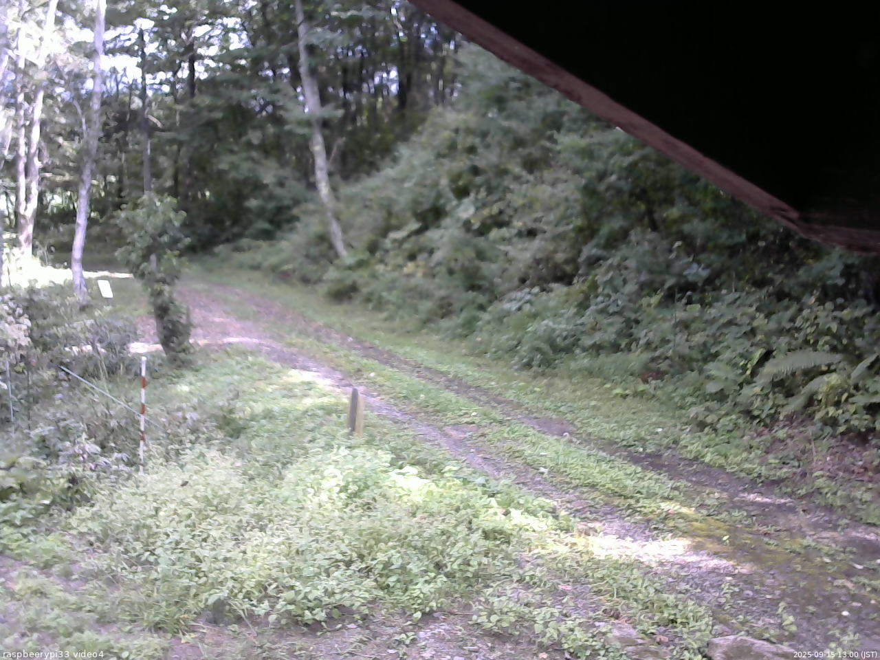 長野県菅平高原 ゆたか山荘 東側(坂下) 2025/09/15 13:00