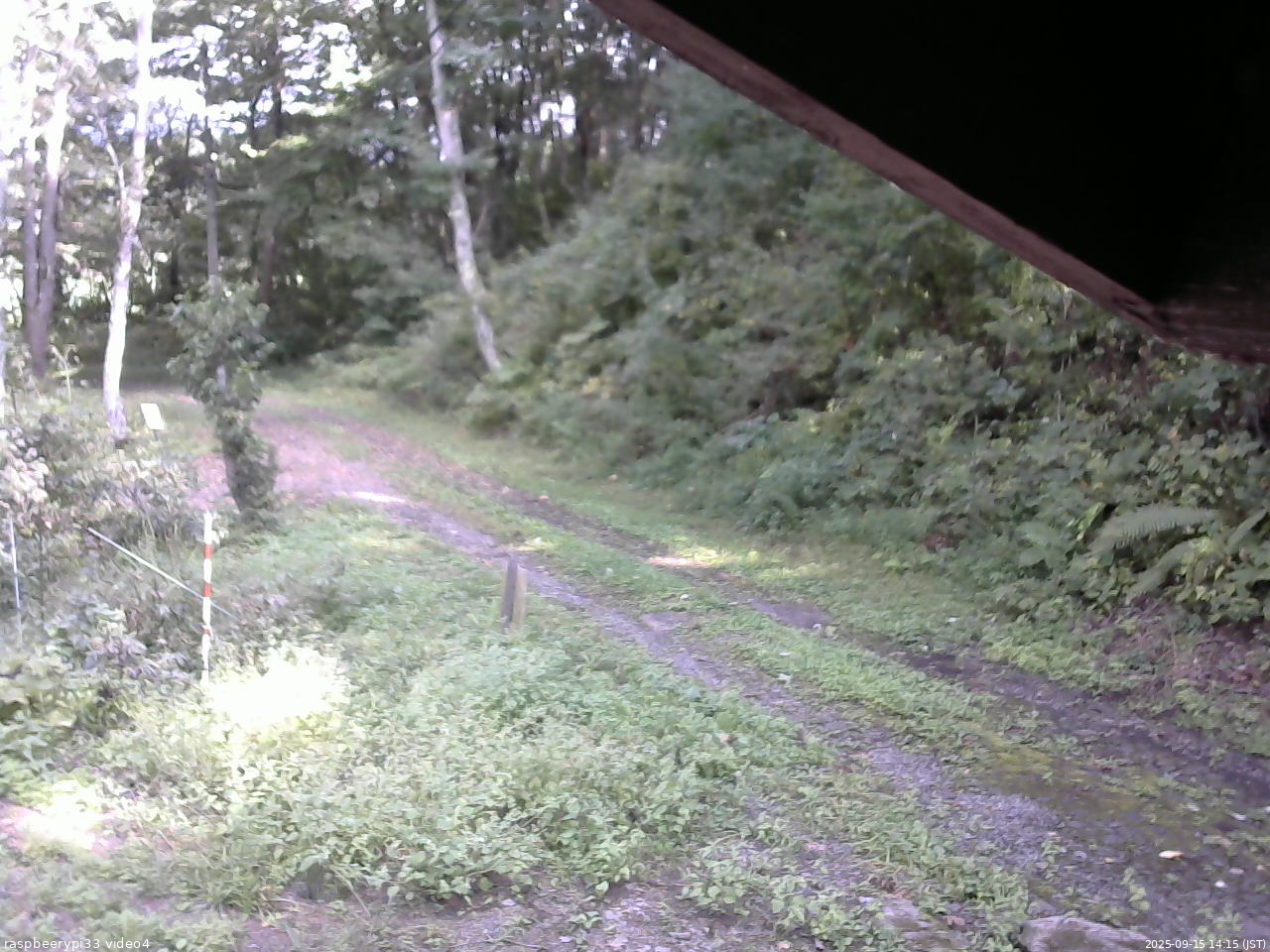 長野県菅平高原 ゆたか山荘 東側(坂下) 2025/09/15 14:15