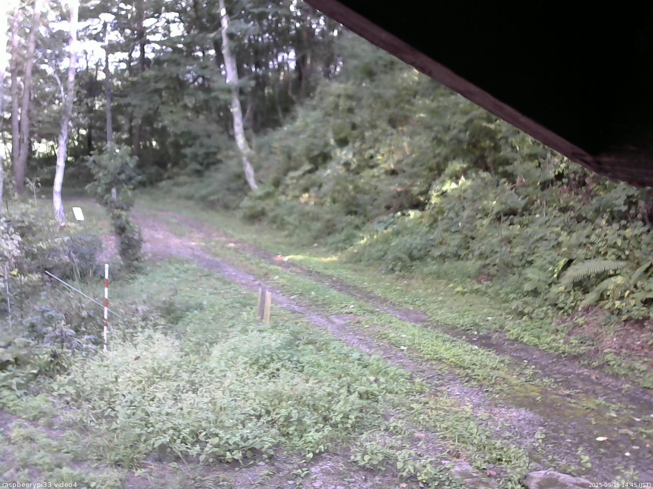 長野県菅平高原 ゆたか山荘 東側(坂下) 2025/09/15 14:45