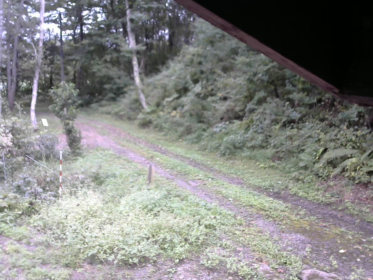 長野県菅平高原 ゆたか山荘 東側(坂下) 2025/09/15 15:45