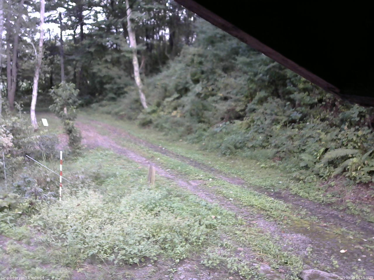 長野県菅平高原 ゆたか山荘 東側(坂下) 2025/09/15 16:15