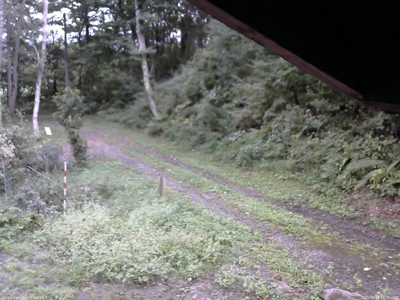 長野県菅平高原 ゆたか山荘 東側(坂下) 2025/09/15 16:45