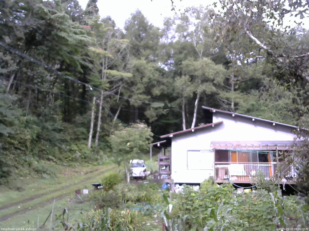 長野県菅平高原 ゆたか山荘 西側(坂上) 2025/09/15 08:00