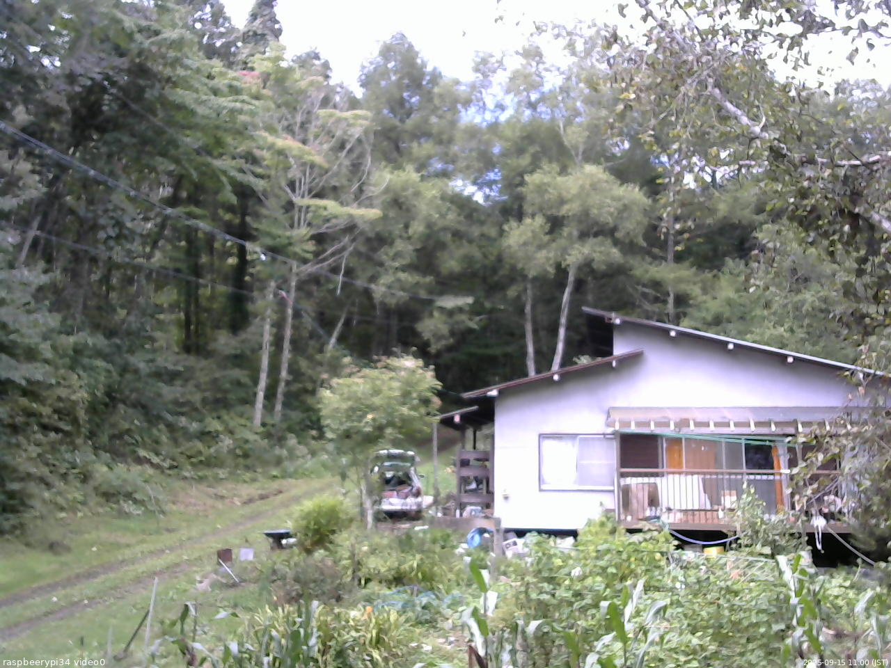 長野県菅平高原 ゆたか山荘 西側(坂上) 2025/09/15 11:00