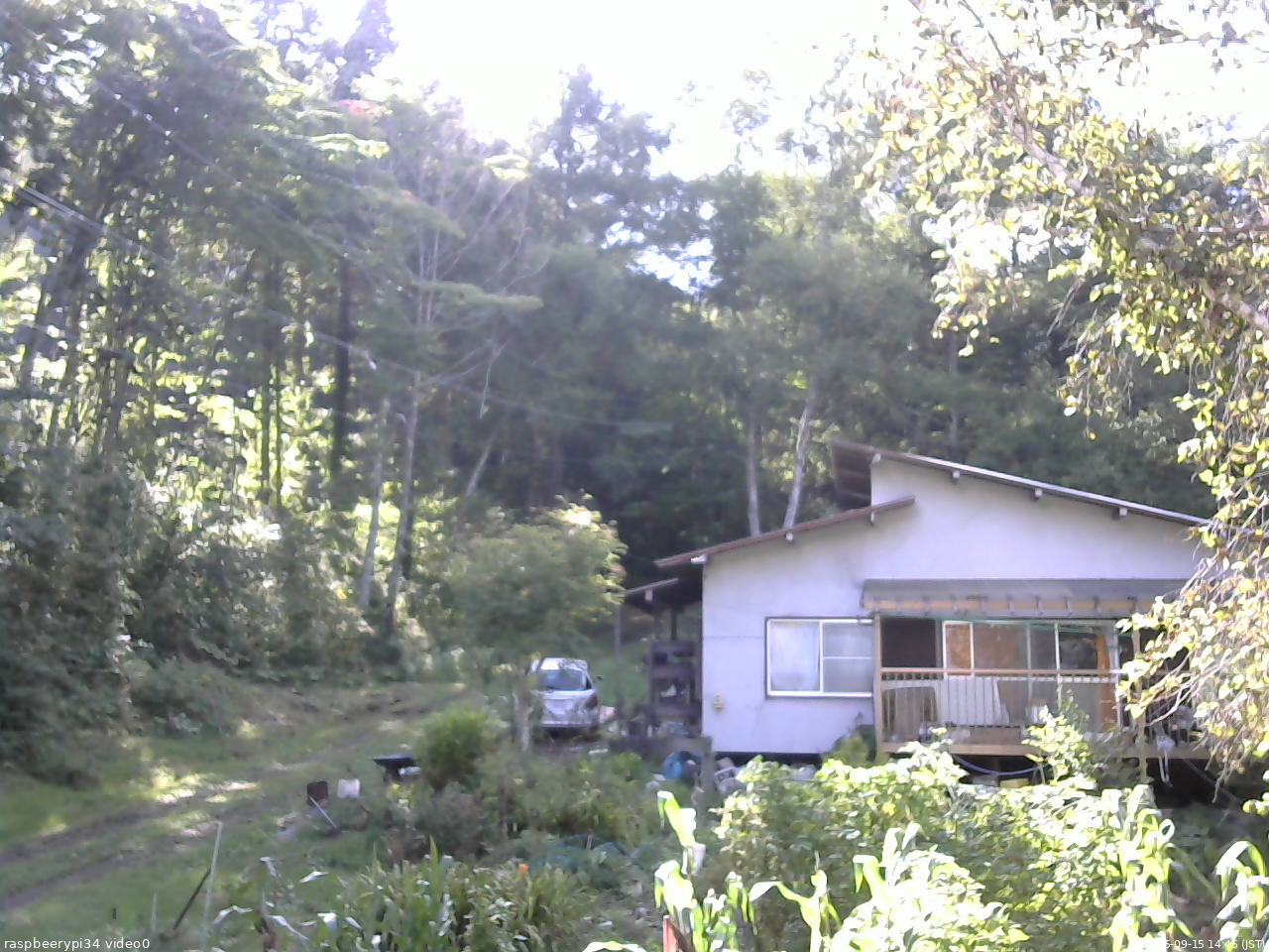 長野県菅平高原 ゆたか山荘 西側(坂上) 2025/09/15 14:45