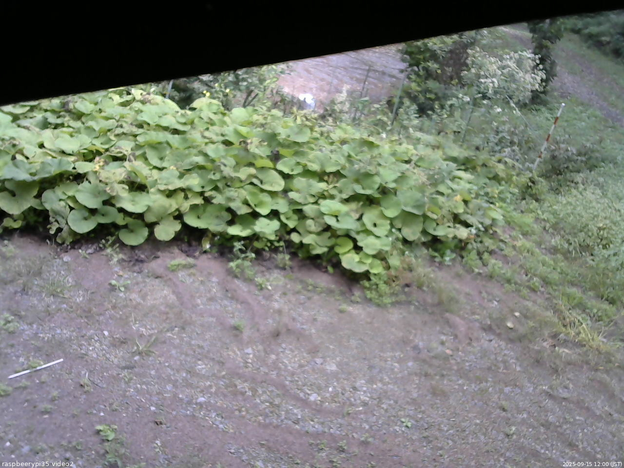 長野県菅平高原 ゆたか山荘 駐車場 2025/09/15 12:00