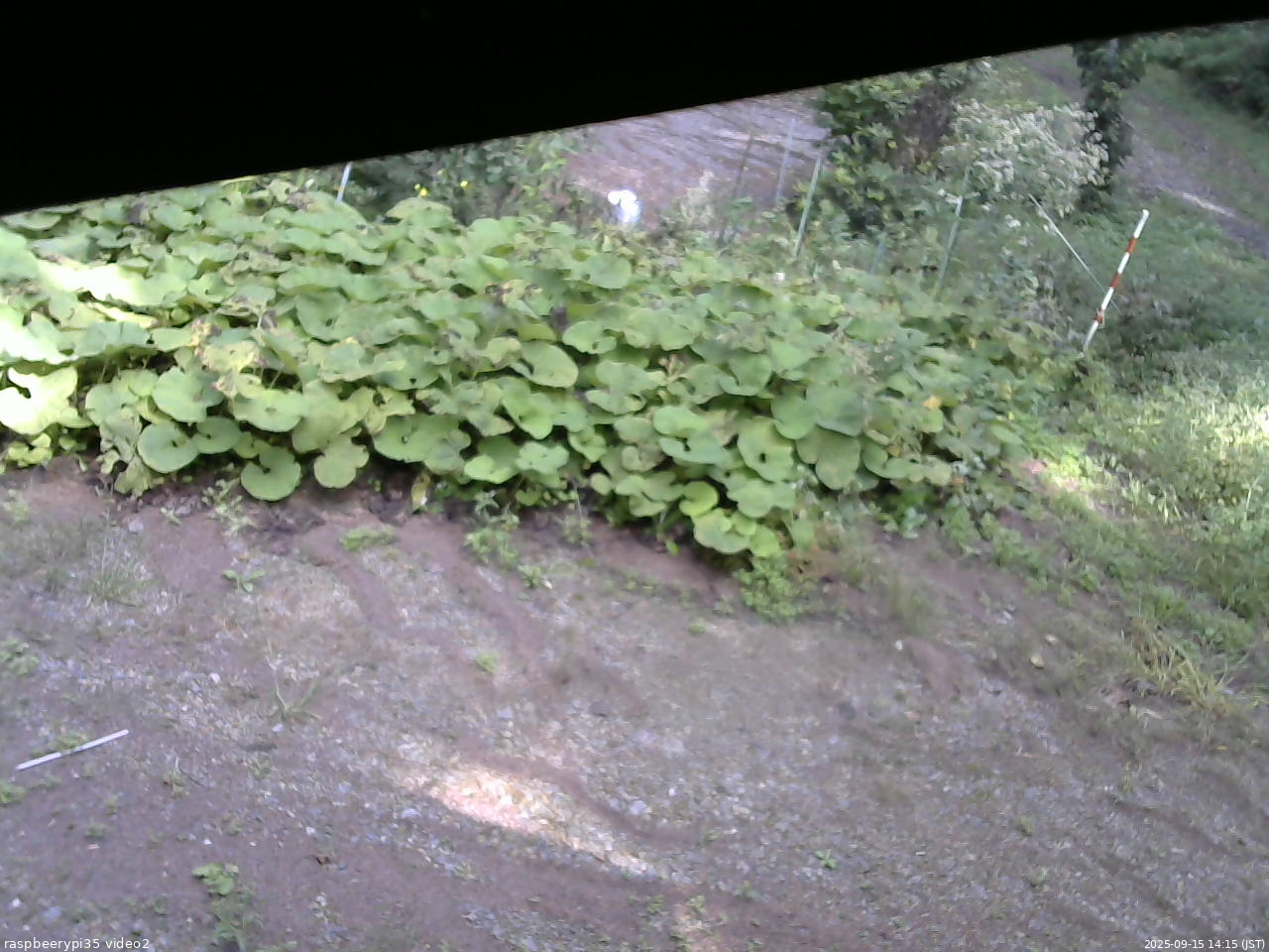 長野県菅平高原 ゆたか山荘 駐車場 2025/09/15 14:15