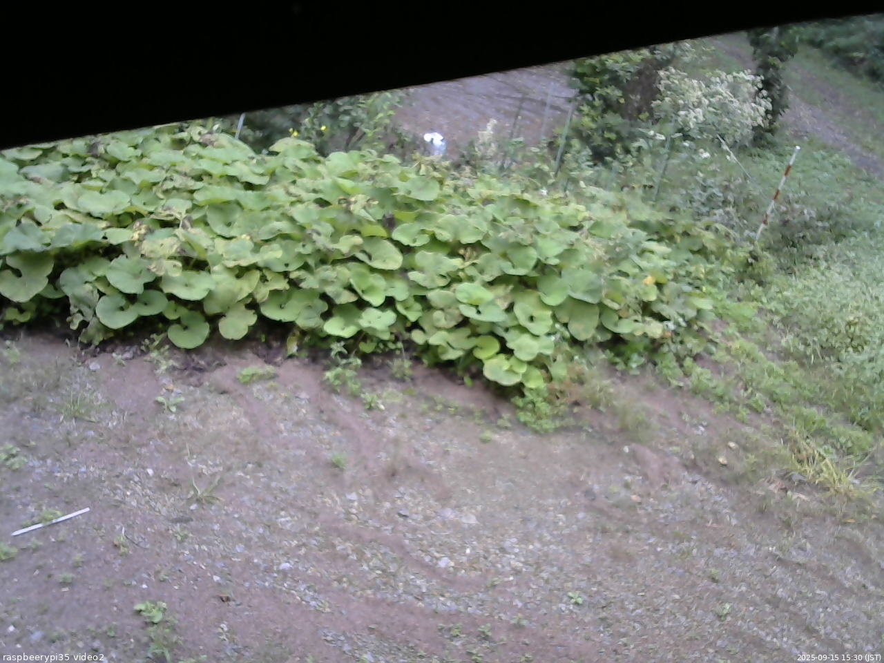 長野県菅平高原 ゆたか山荘 駐車場 2025/09/15 15:30