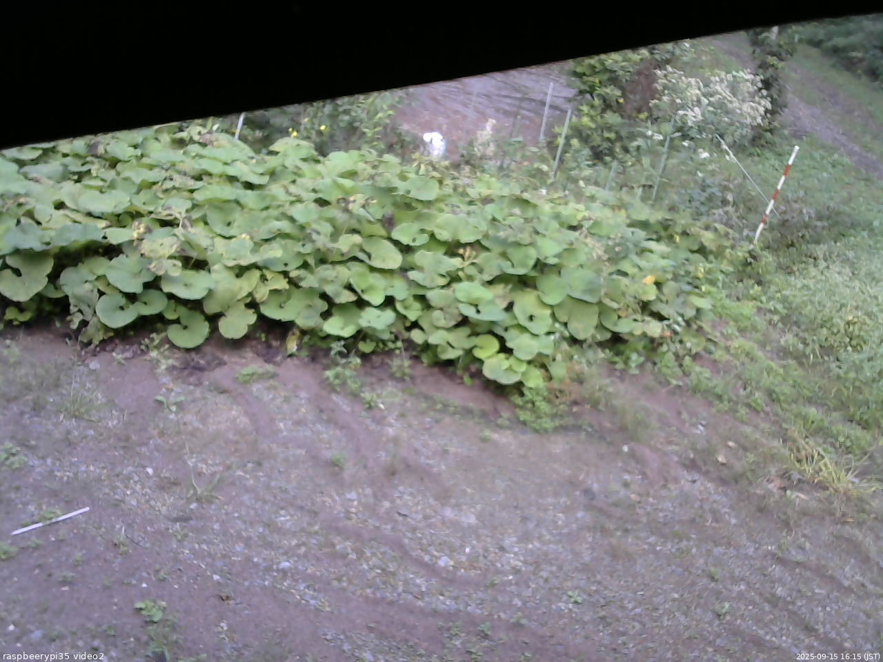 長野県菅平高原 ゆたか山荘 駐車場 2025/09/15 16:15