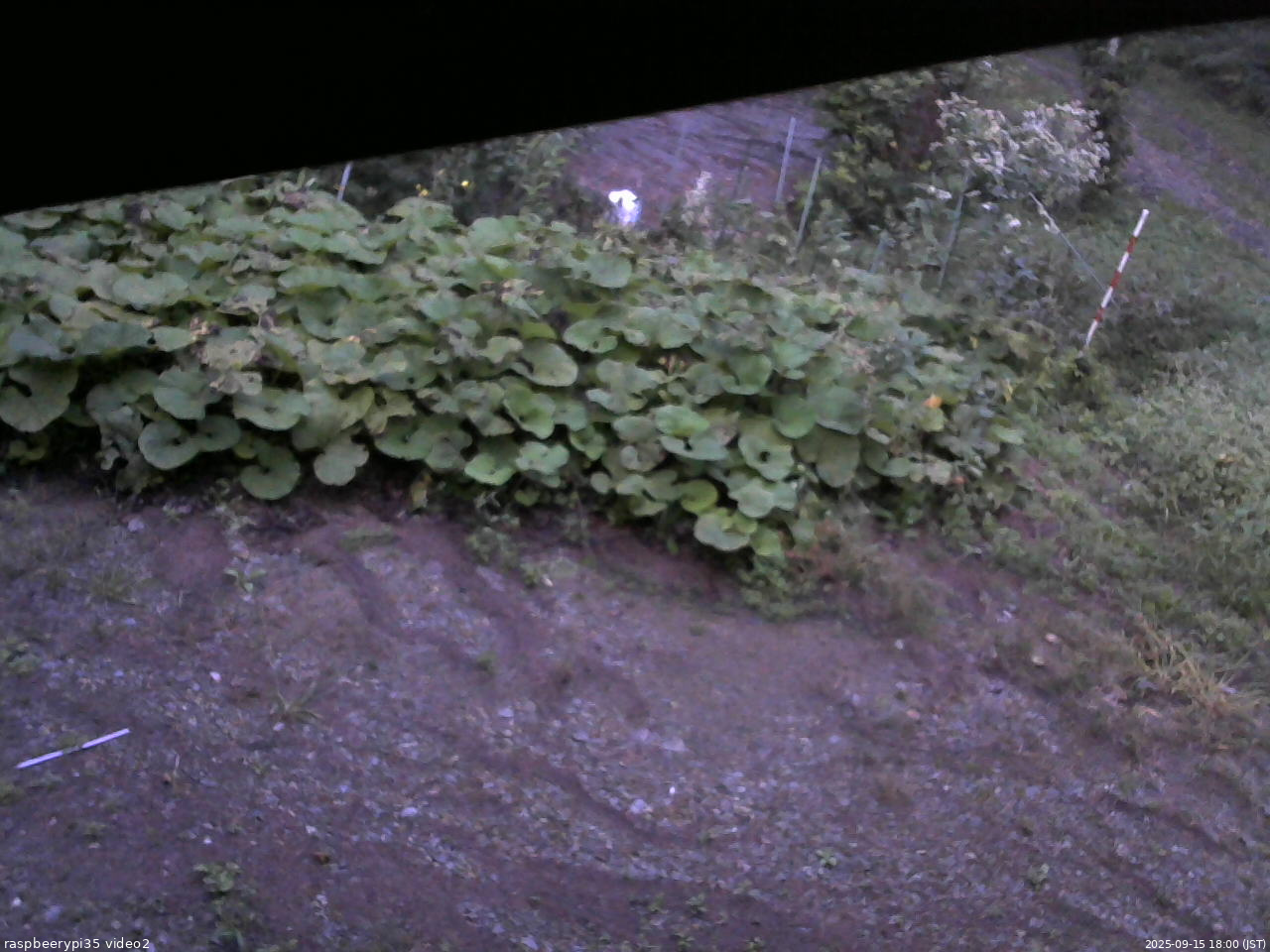 長野県菅平高原 ゆたか山荘 駐車場 2025/09/15 18:00