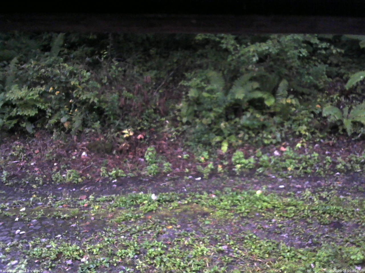 長野県菅平高原 ゆたか山荘 南側 2025/09/16 05:30