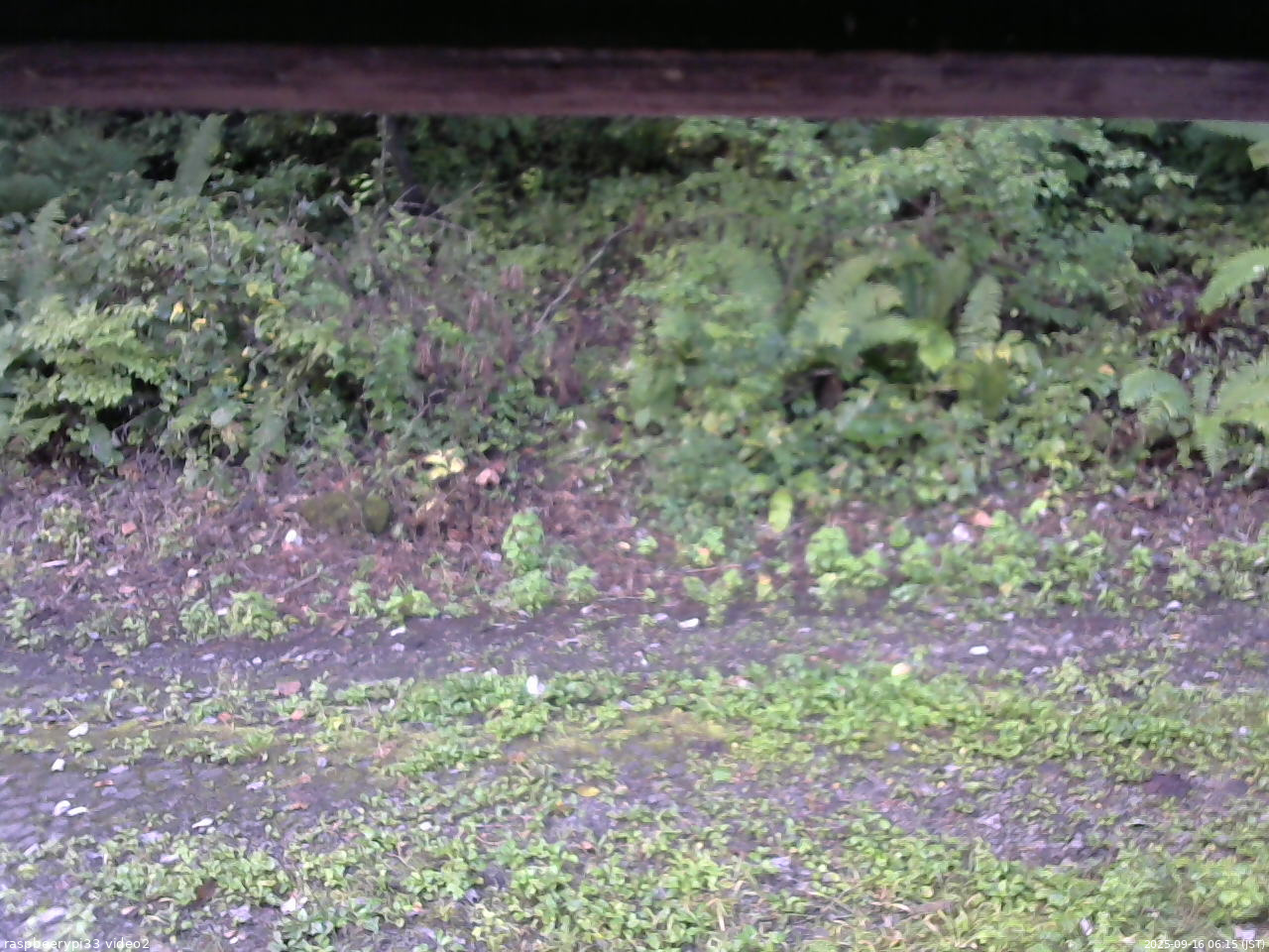 長野県菅平高原 ゆたか山荘 南側 2025/09/16 06:15