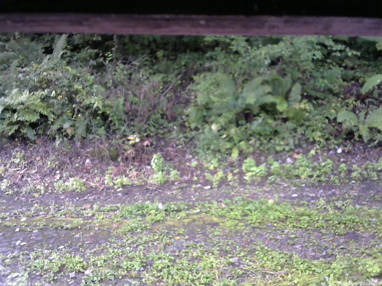 長野県菅平高原 ゆたか山荘 南側 2025/09/16 07:15
