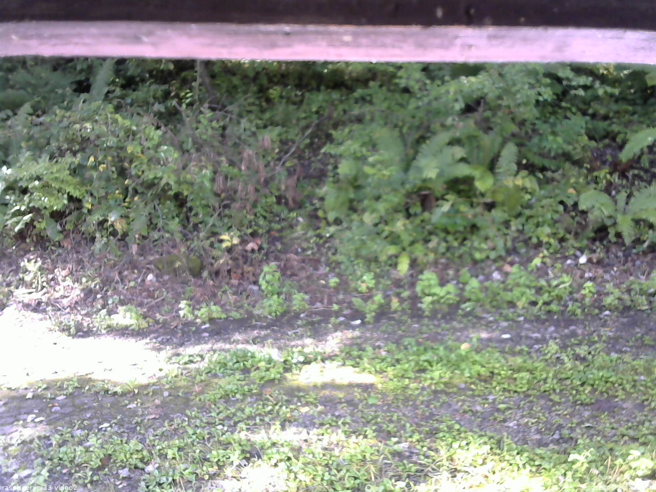 長野県菅平高原 ゆたか山荘 南側 2025/09/16 07:45