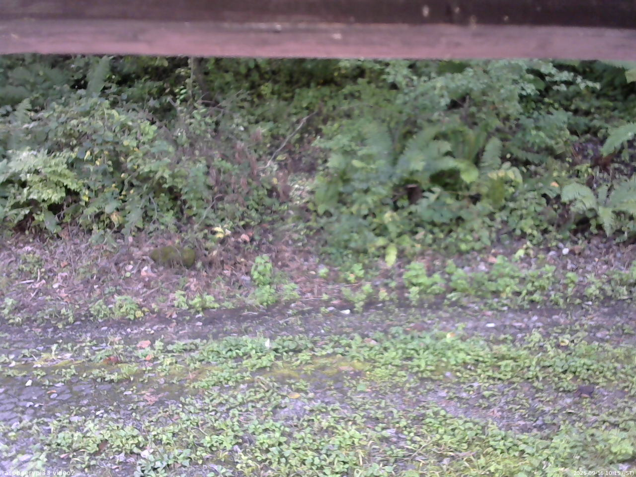 長野県菅平高原 ゆたか山荘 南側 2025/09/16 10:15