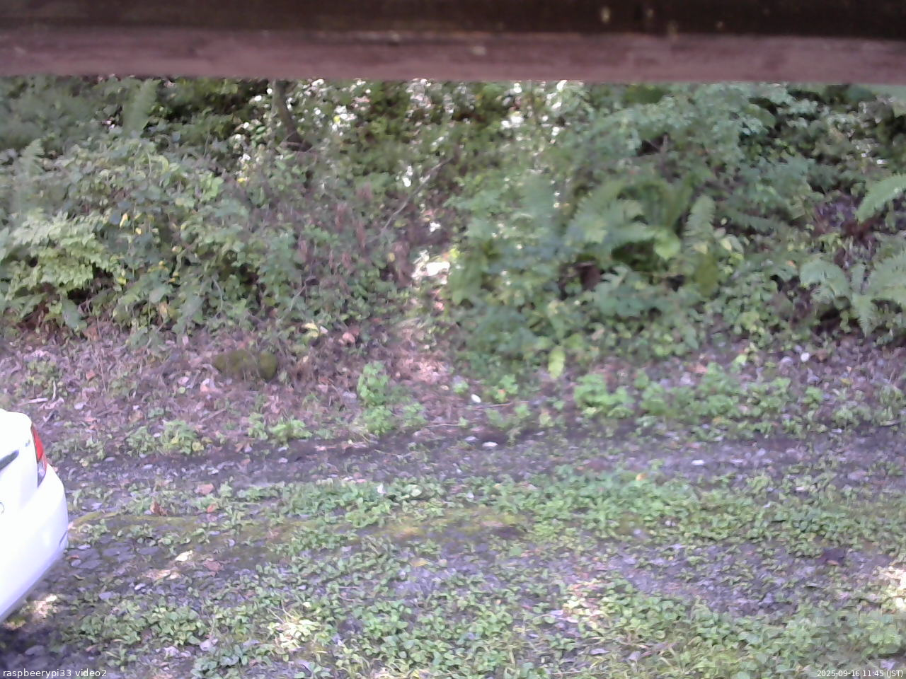 長野県菅平高原 ゆたか山荘 南側 2025/09/16 11:45