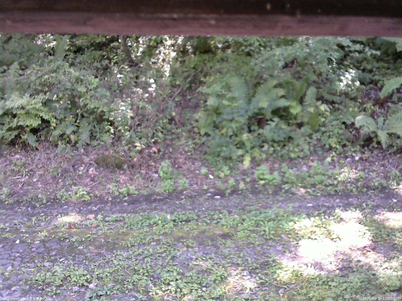 長野県菅平高原 ゆたか山荘 南側 2025/09/16 12:00