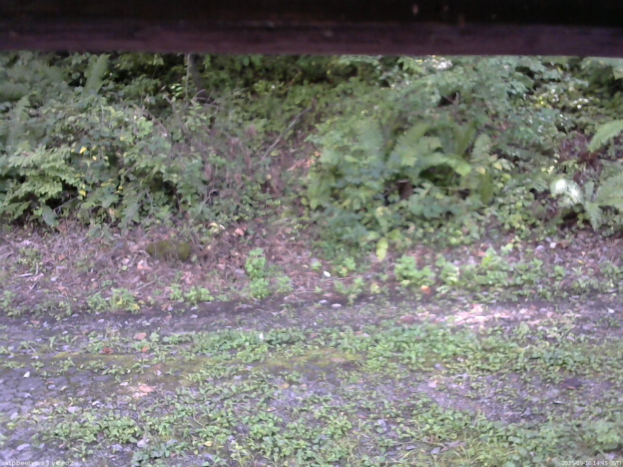 長野県菅平高原 ゆたか山荘 南側 2025/09/16 14:45