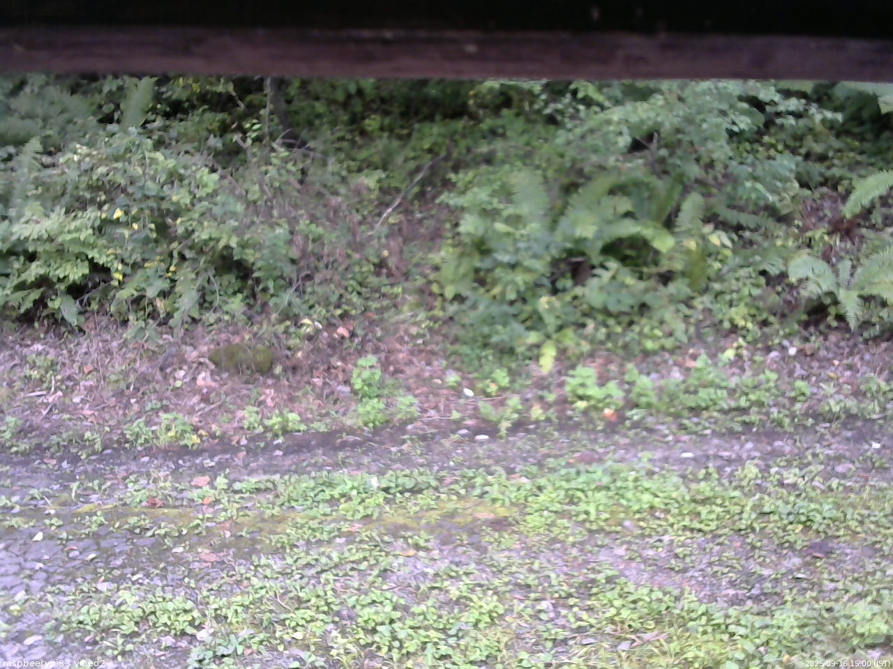 長野県菅平高原 ゆたか山荘 南側 2025/09/16 15:00