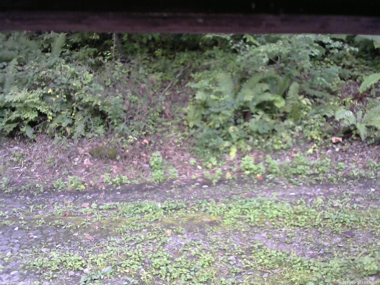 長野県菅平高原 ゆたか山荘 南側 2025/09/16 15:45