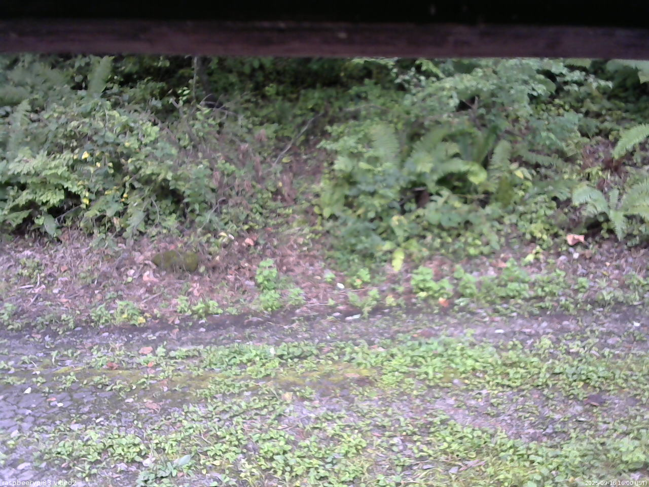 長野県菅平高原 ゆたか山荘 南側 2025/09/16 16:00