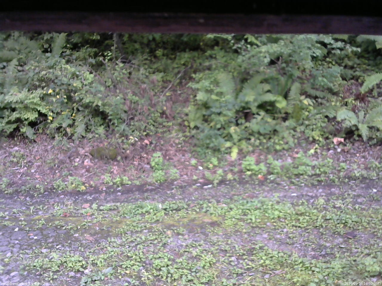 長野県菅平高原 ゆたか山荘 南側 2025/09/16 16:30