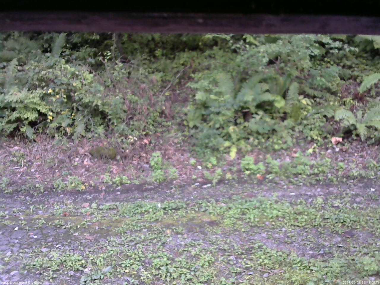 長野県菅平高原 ゆたか山荘 南側 2025/09/16 16:45