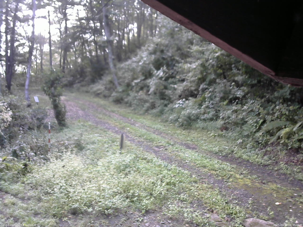 長野県菅平高原 ゆたか山荘 東側(坂下) 2025/09/16 06:45