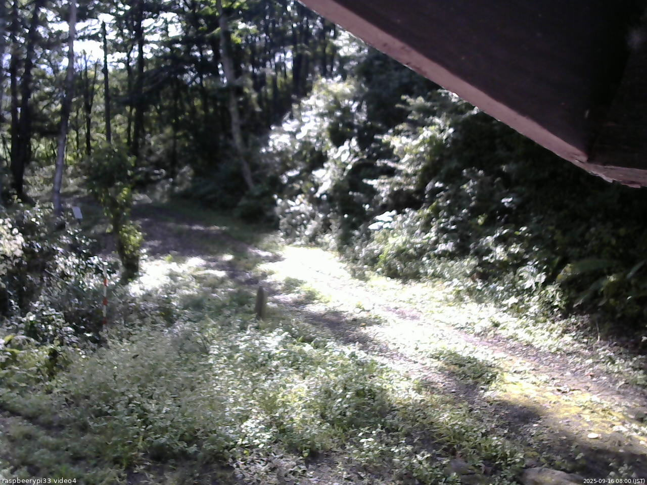 長野県菅平高原 ゆたか山荘 東側(坂下) 2025/09/16 08:00