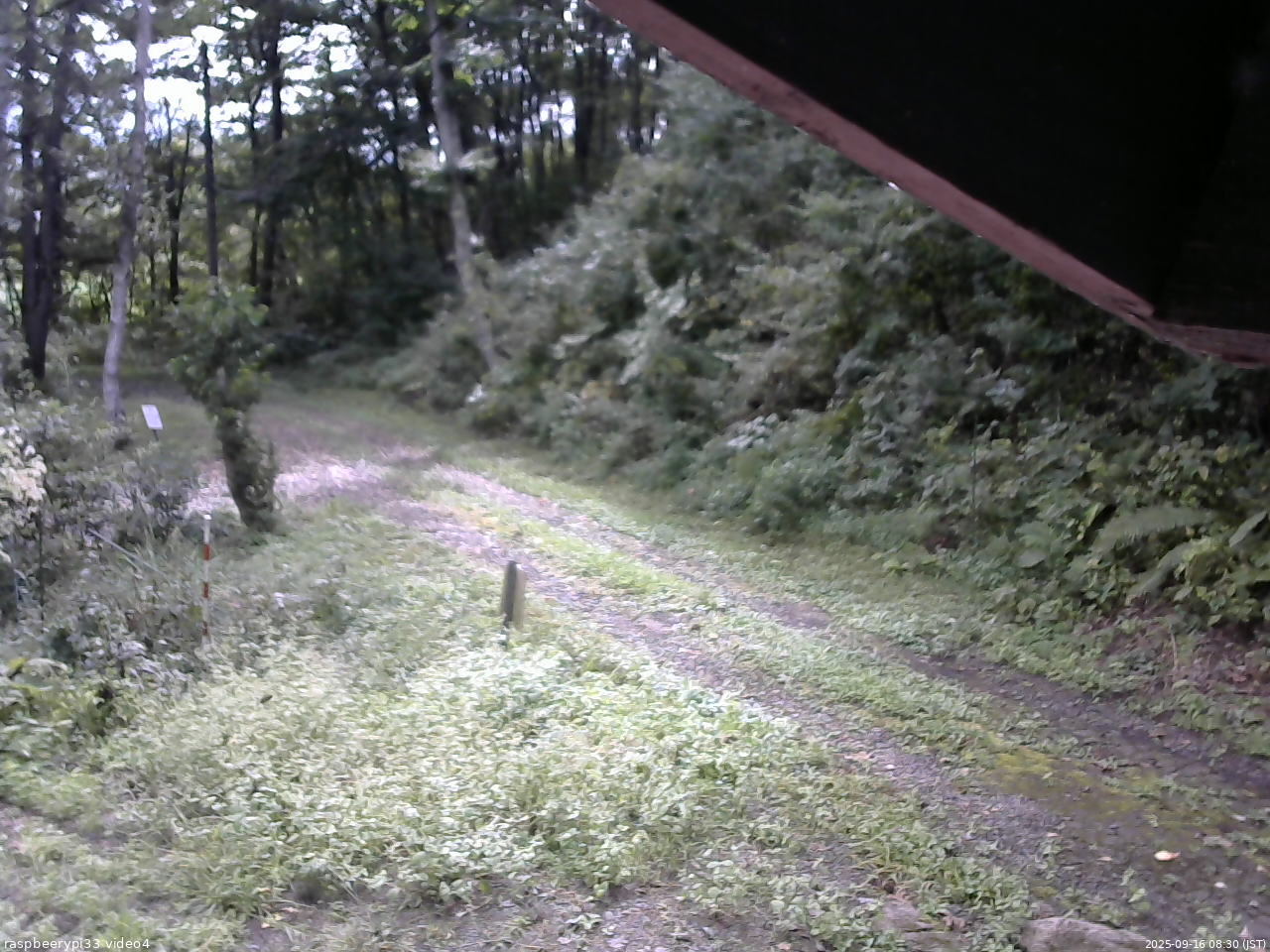 長野県菅平高原 ゆたか山荘 東側(坂下) 2025/09/16 08:30