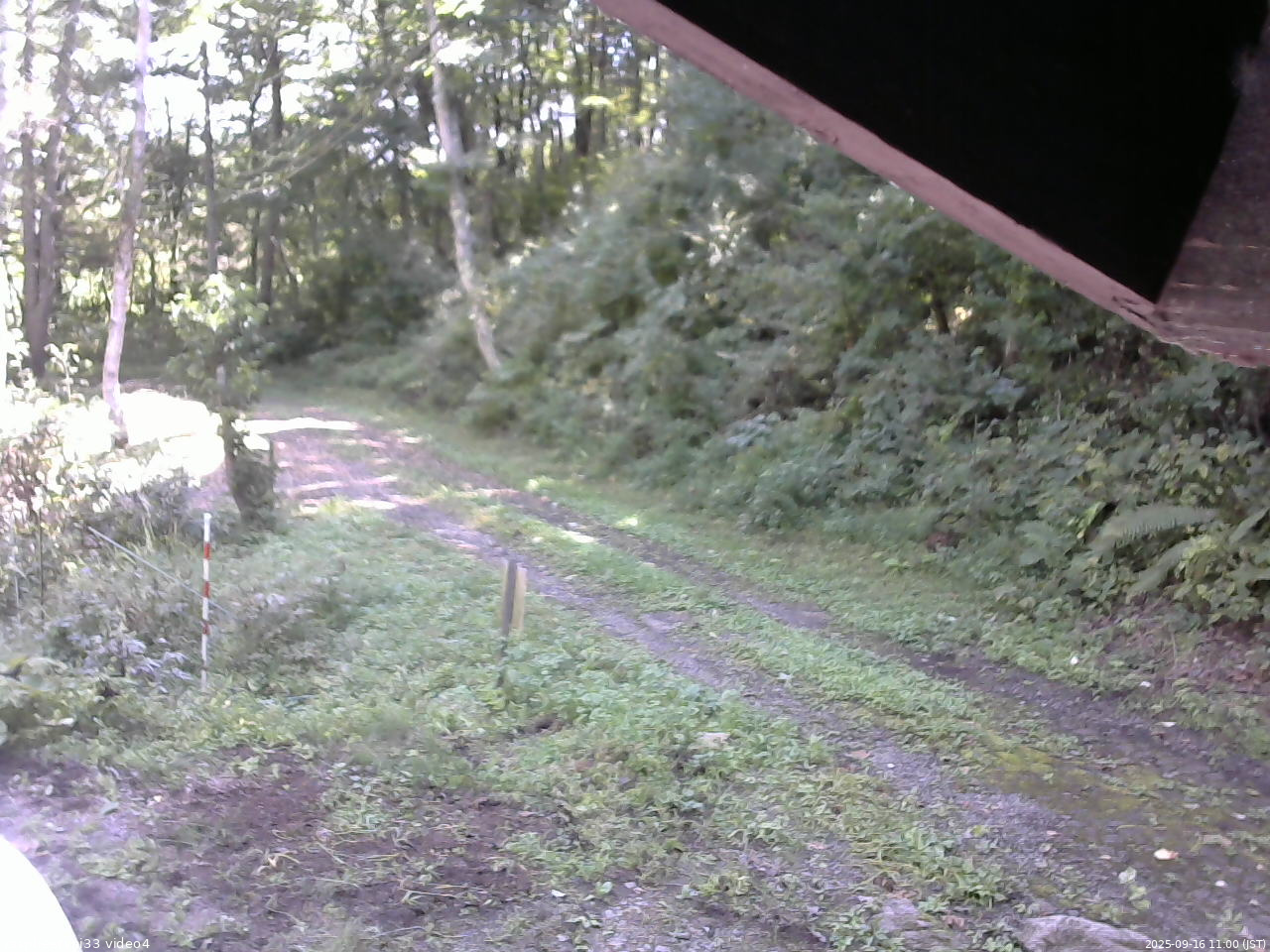 長野県菅平高原 ゆたか山荘 東側(坂下) 2025/09/16 11:00