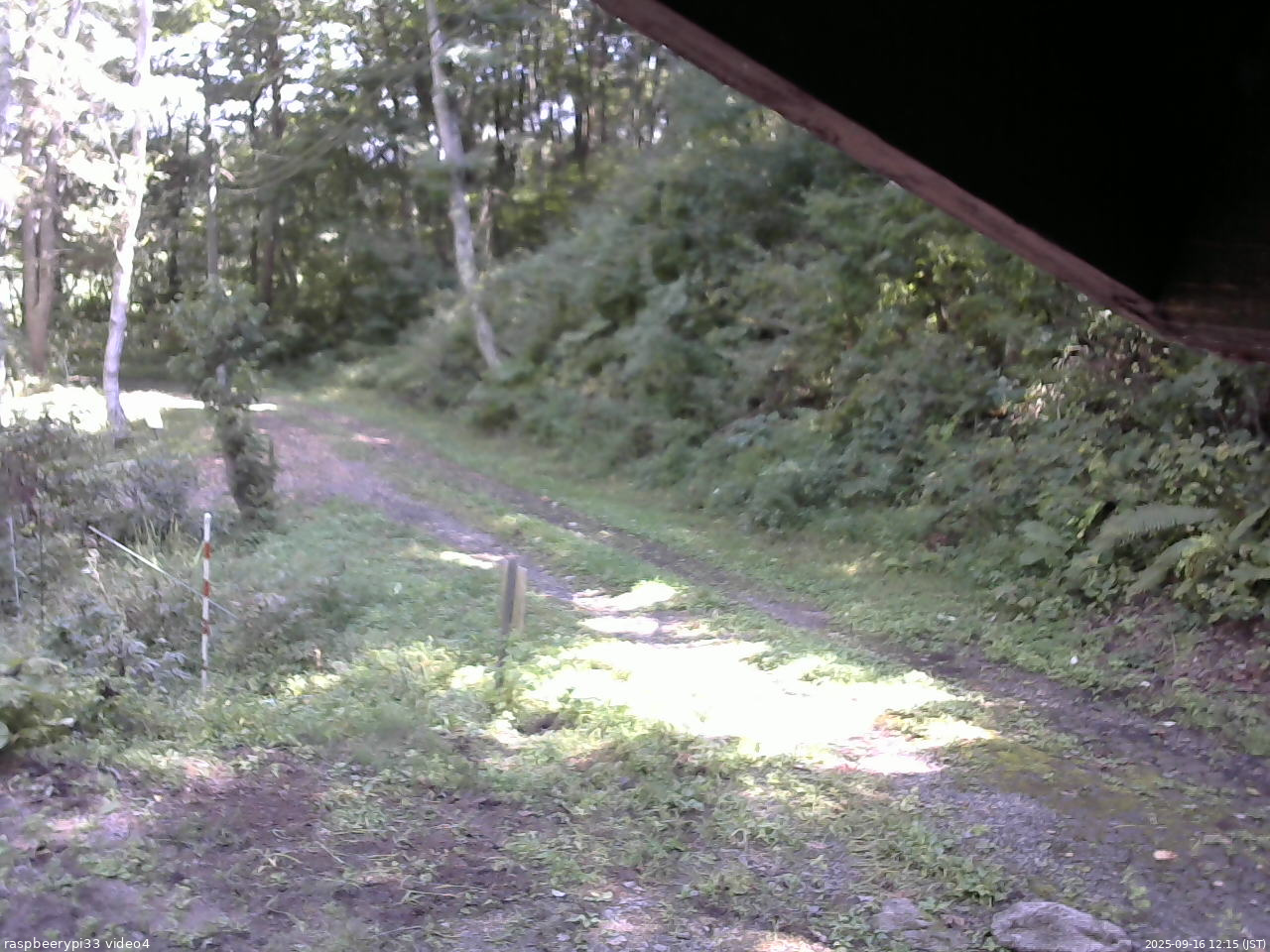 長野県菅平高原 ゆたか山荘 東側(坂下) 2025/09/16 12:15