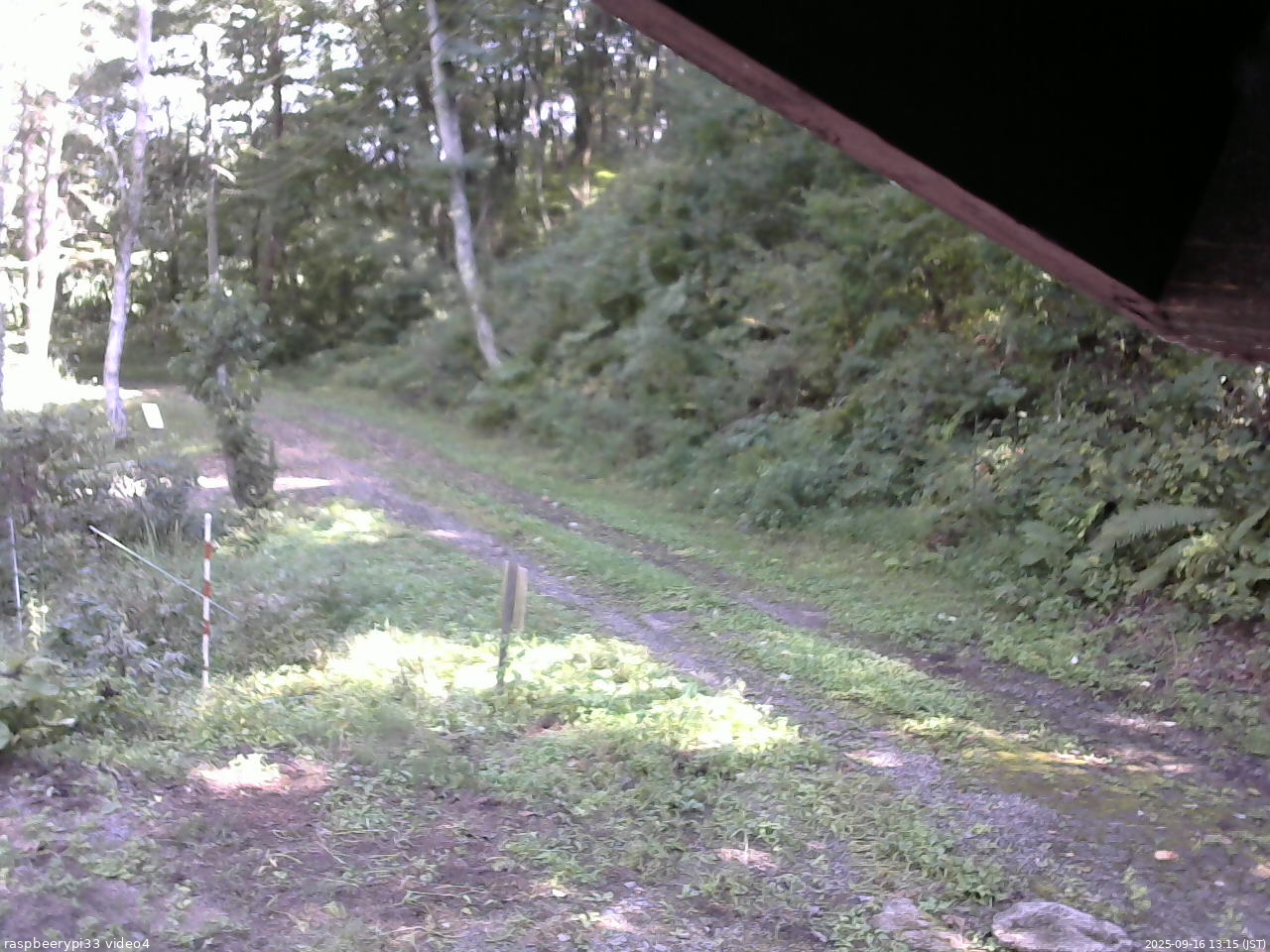 長野県菅平高原 ゆたか山荘 東側(坂下) 2025/09/16 13:15