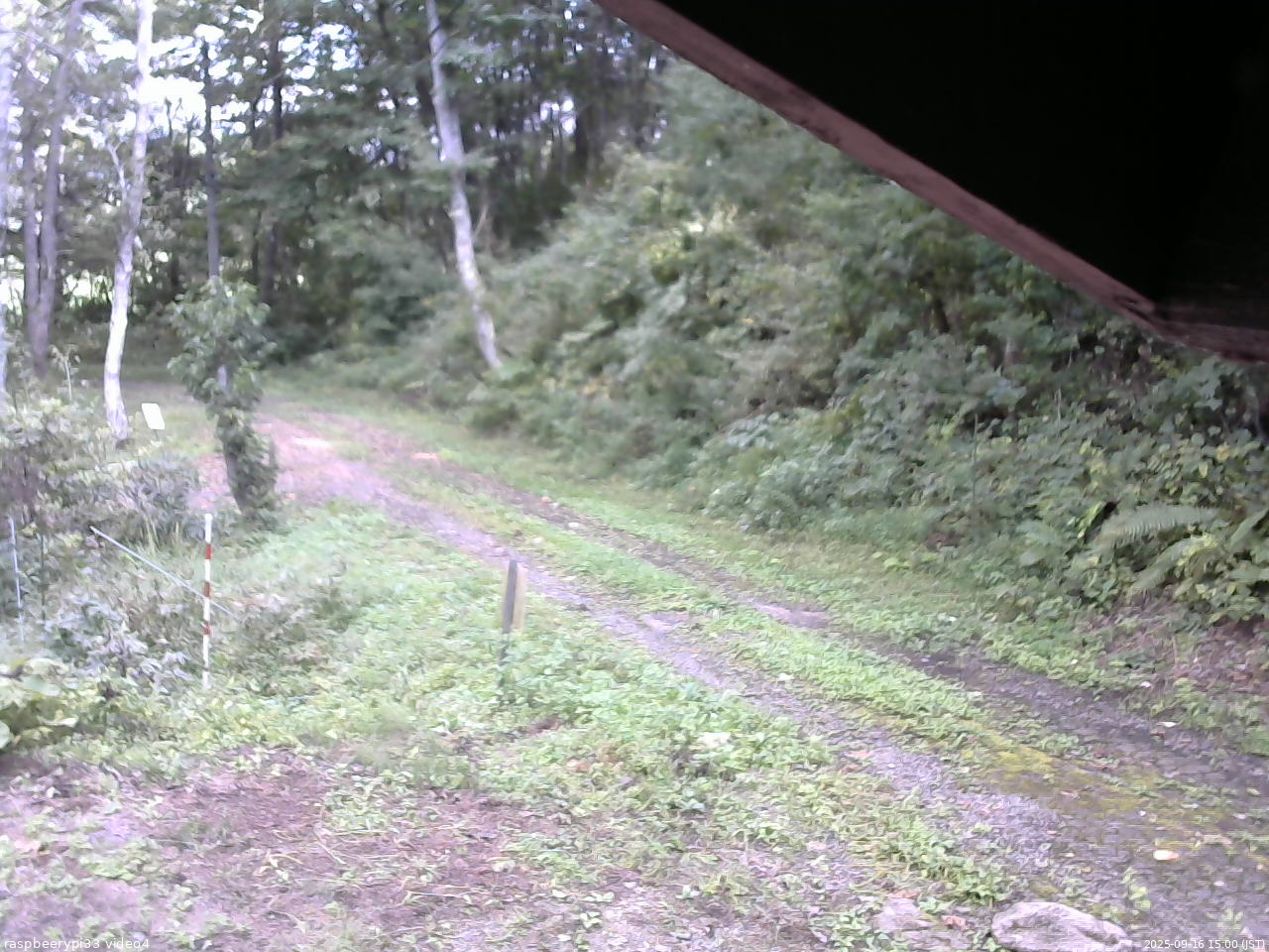 長野県菅平高原 ゆたか山荘 東側(坂下) 2025/09/16 15:00