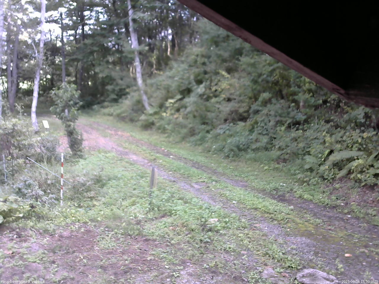 長野県菅平高原 ゆたか山荘 東側(坂下) 2025/09/16 15:30