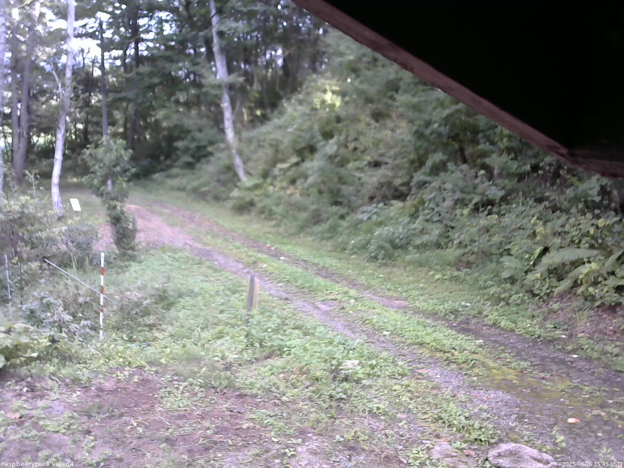 長野県菅平高原 ゆたか山荘 東側(坂下) 2025/09/16 15:45