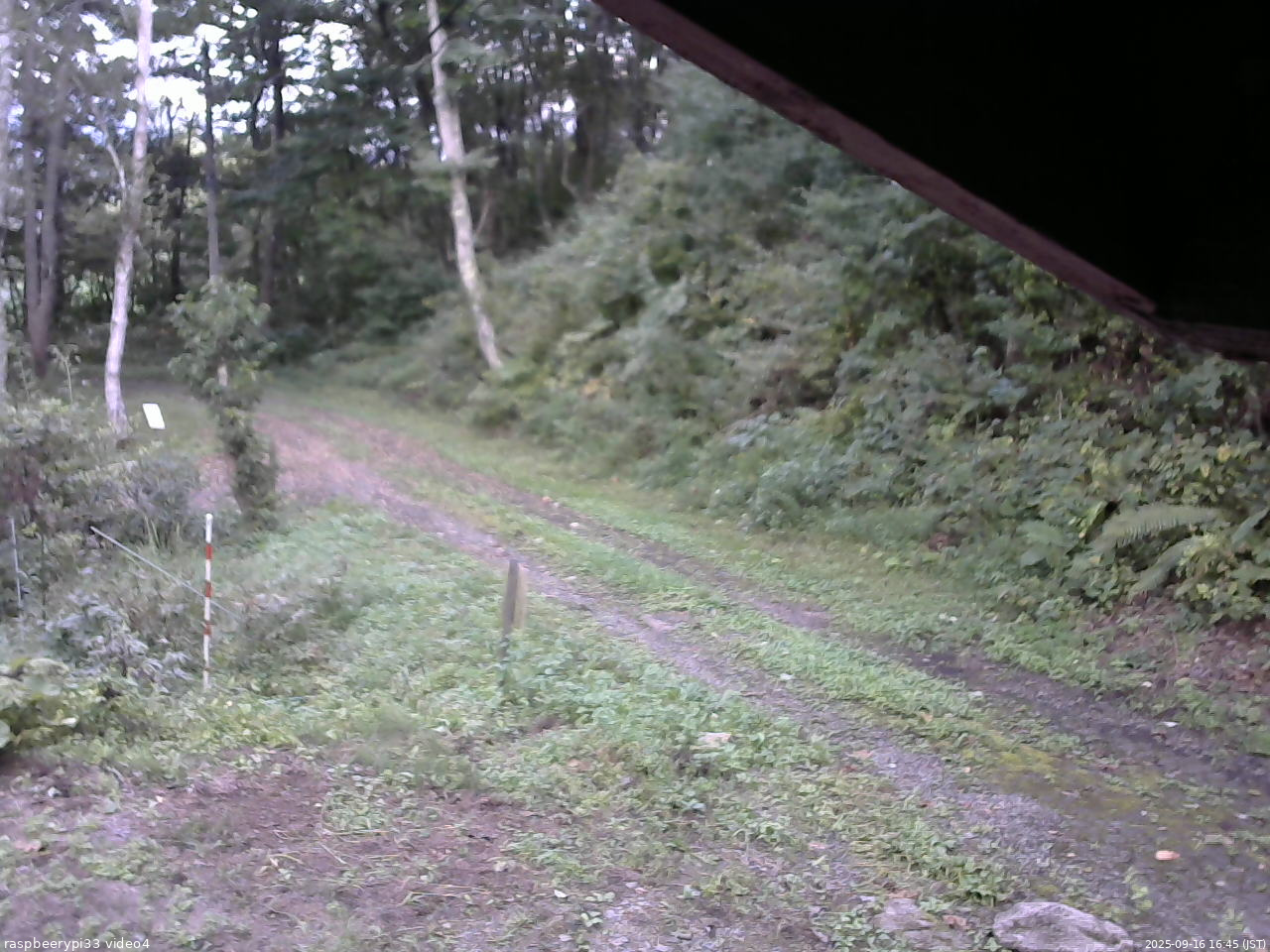 長野県菅平高原 ゆたか山荘 東側(坂下) 2025/09/16 16:45