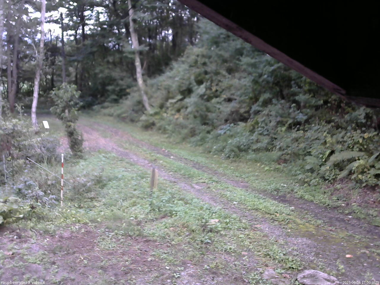長野県菅平高原 ゆたか山荘 東側(坂下) 2025/09/16 17:00
