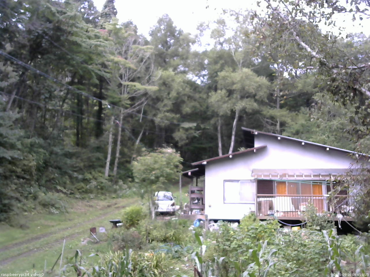 長野県菅平高原 ゆたか山荘 西側(坂上) 2025/09/16 09:45