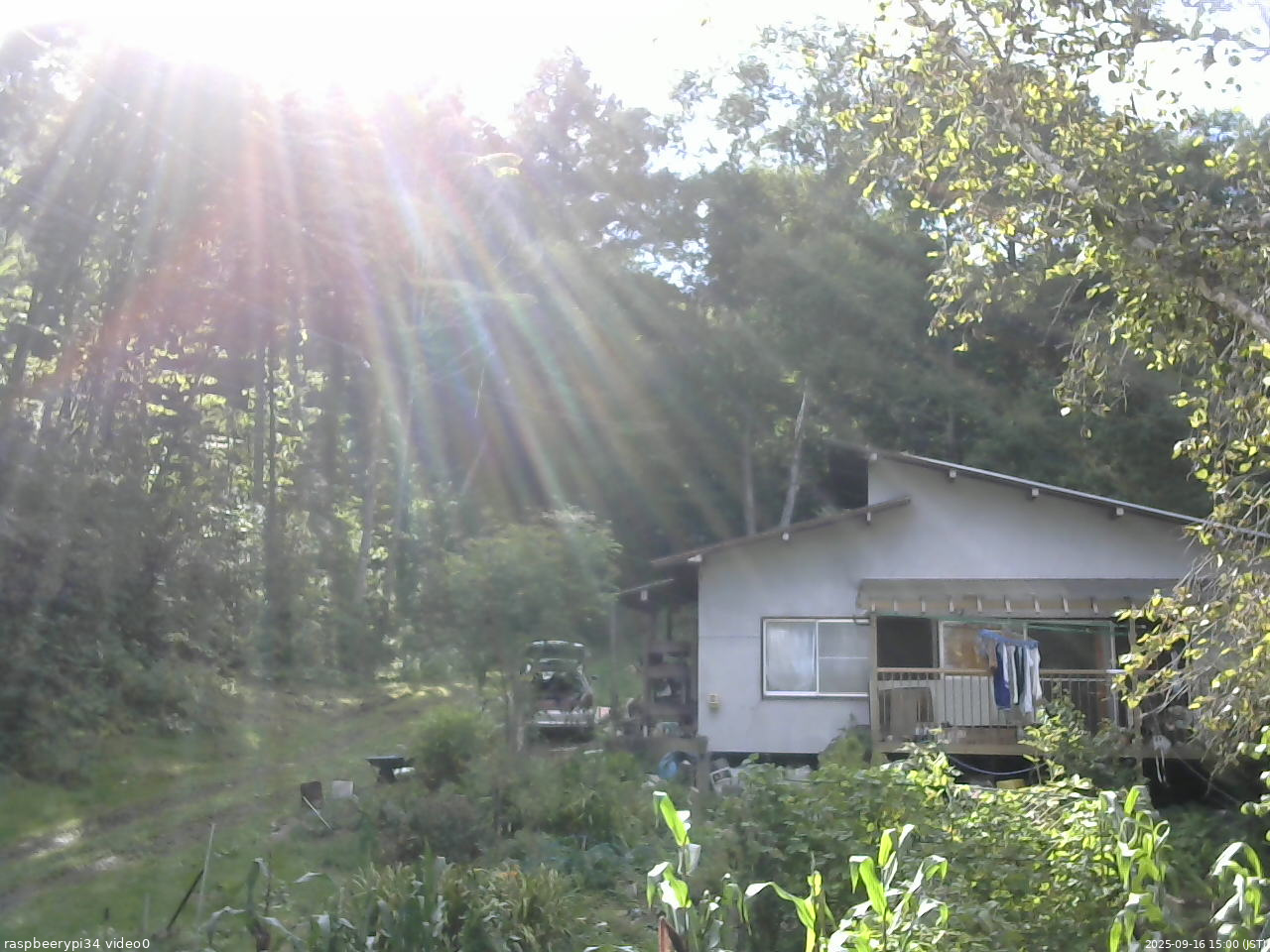 長野県菅平高原 ゆたか山荘 西側(坂上) 2025/09/16 15:00