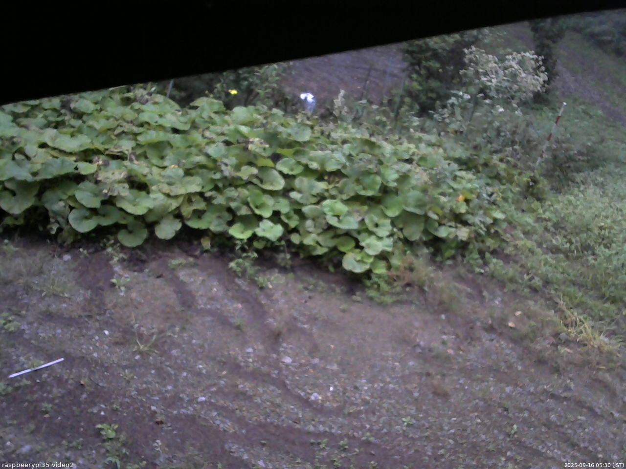 長野県菅平高原 ゆたか山荘 駐車場 2025/09/16 05:30