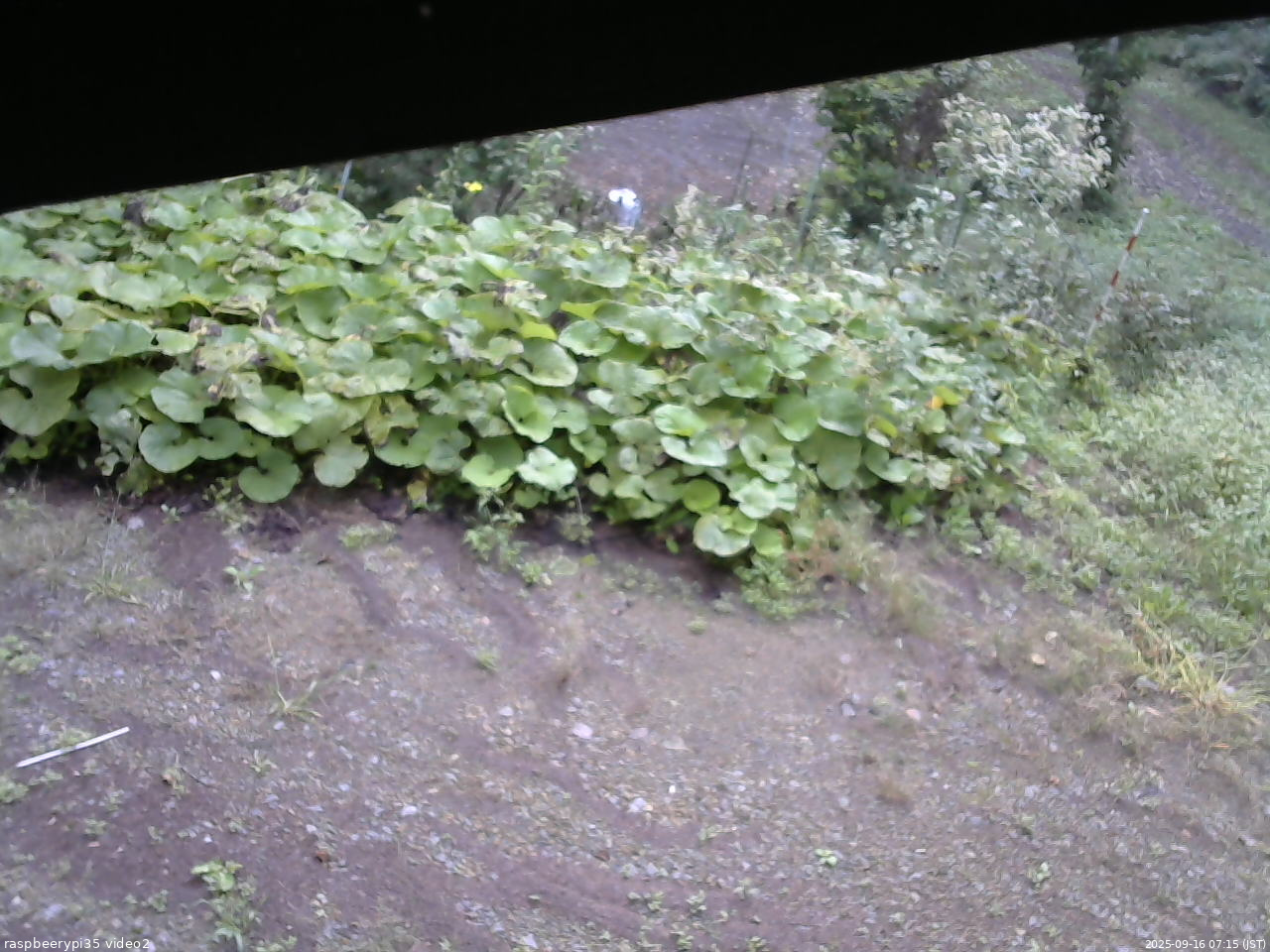長野県菅平高原 ゆたか山荘 駐車場 2025/09/16 07:15