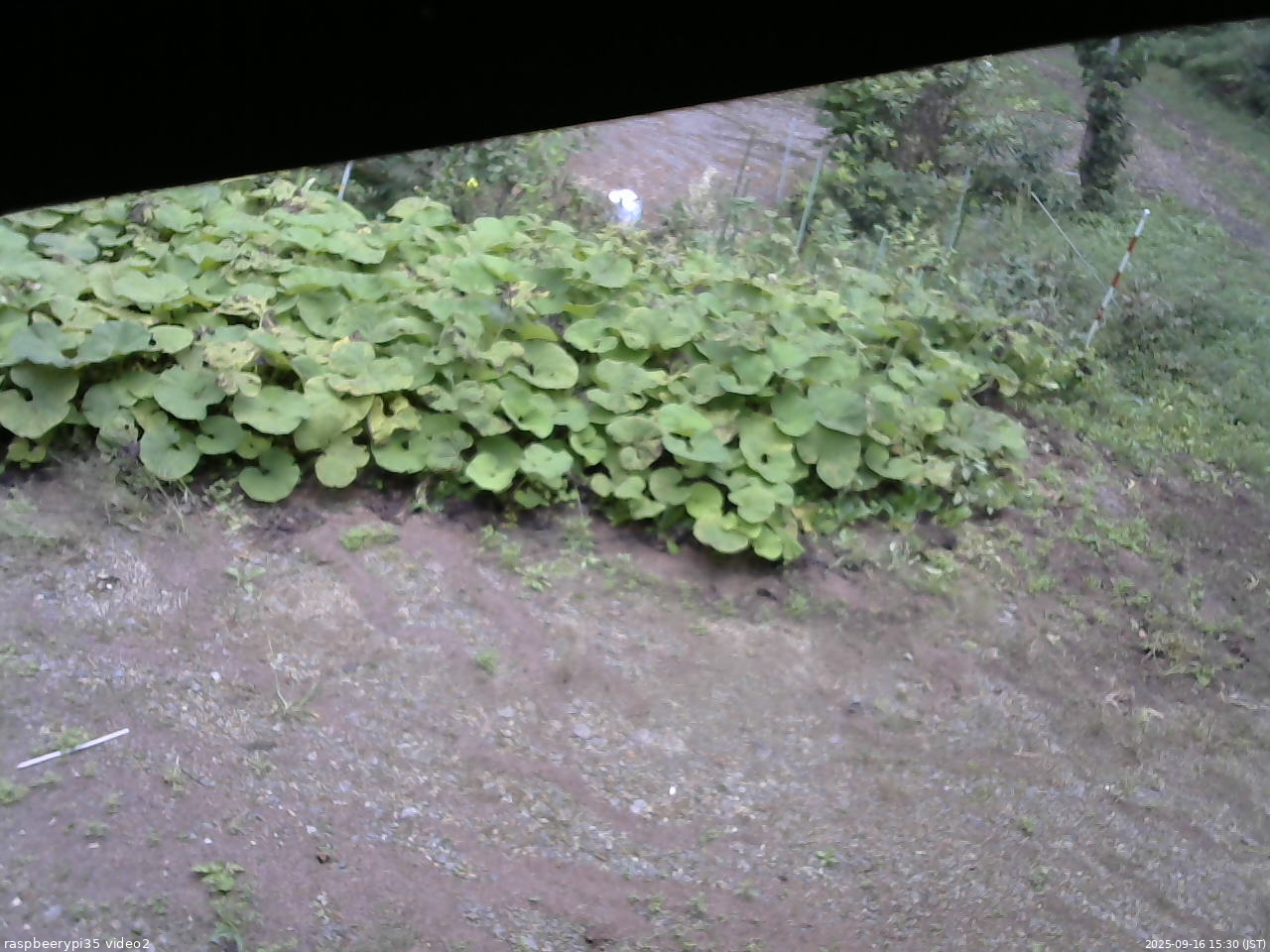 長野県菅平高原 ゆたか山荘 駐車場 2025/09/16 15:30