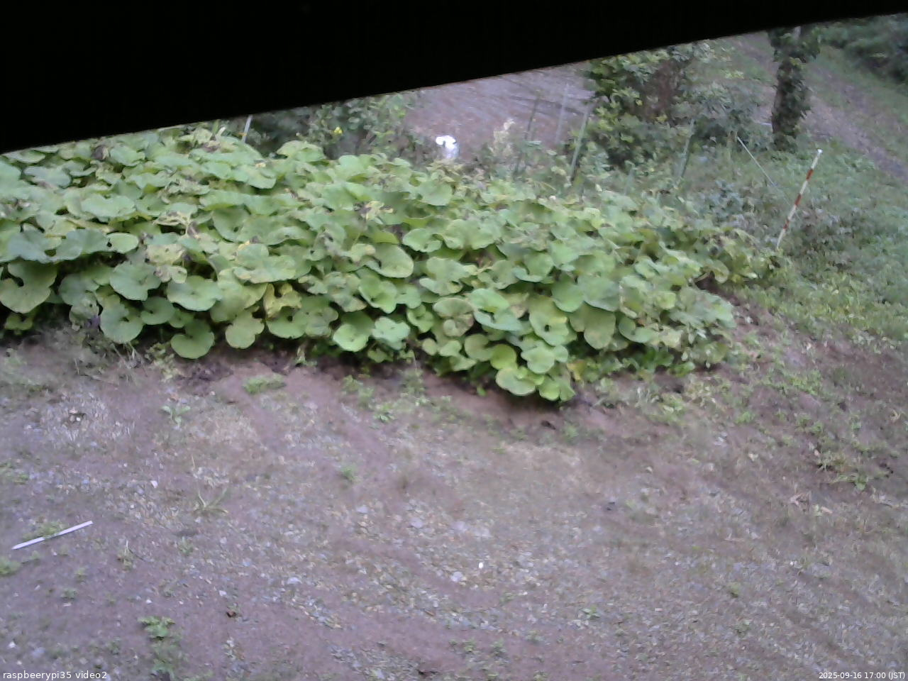 長野県菅平高原 ゆたか山荘 駐車場 2025/09/16 17:00