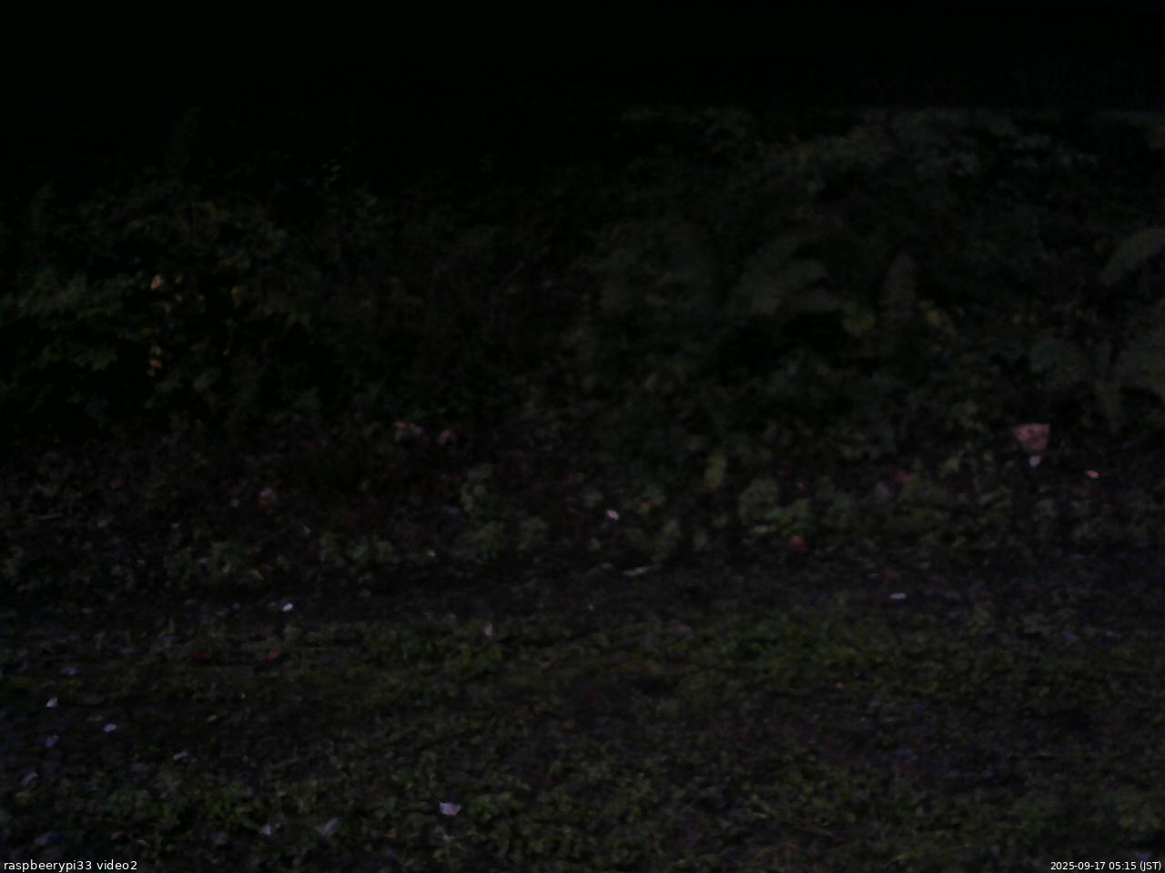 長野県菅平高原 ゆたか山荘 南側 2025/09/17 05:15